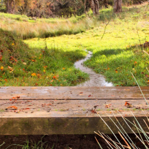 Castlefields Crossing