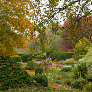 Mr Wicksteed's Autumn Garden